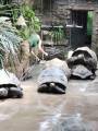 Školní výlet do ZOO Plzeň 2025 